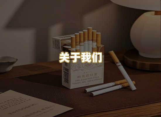 关于我们